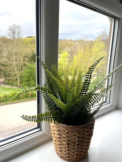 Olive Holiday Cottage Matlock Матлок Экстерьер фото