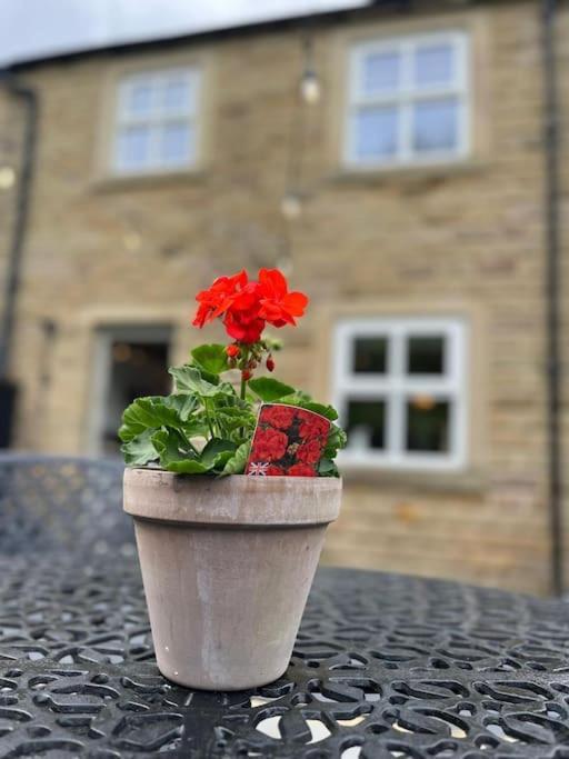 Olive Holiday Cottage Matlock Матлок Экстерьер фото